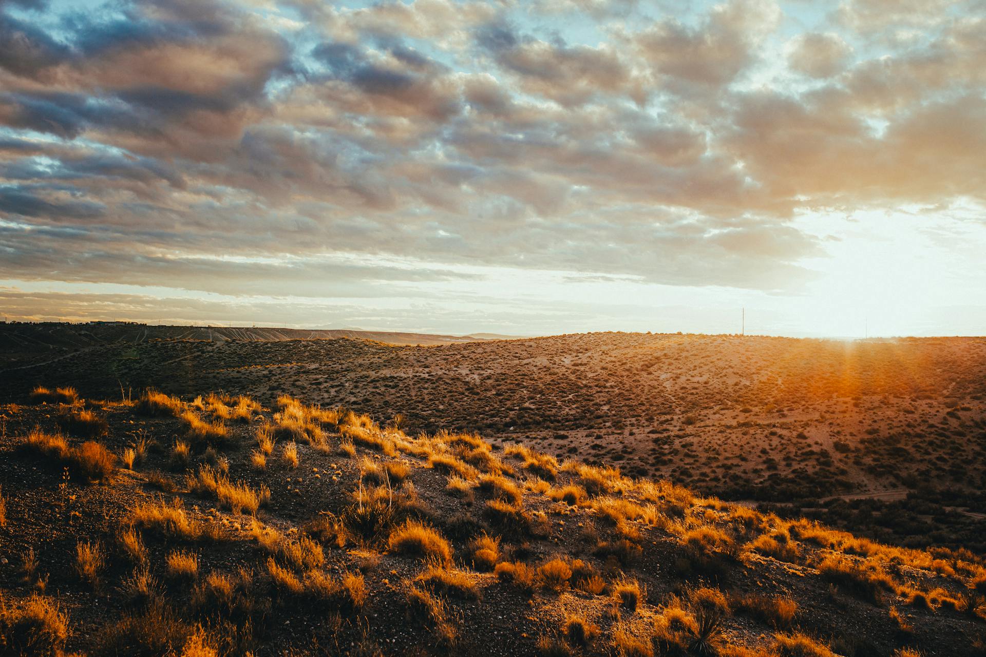 Golden hour desert landscape New Mexico