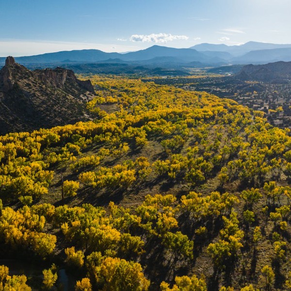 Autumn foliage Ojo Caliente New Mexico