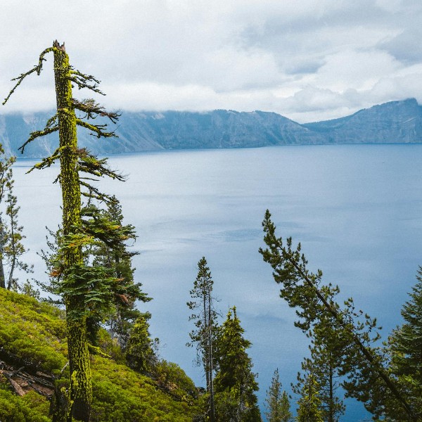 Crater Lake with lush green trees Oregon