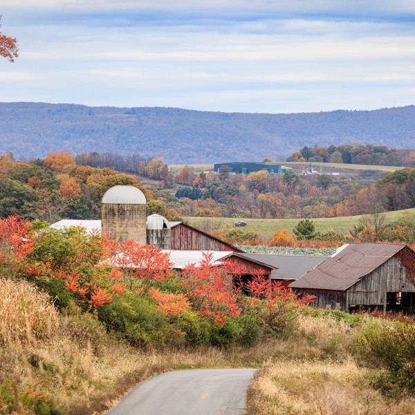 Pennsylvania autumn farm Williamsport