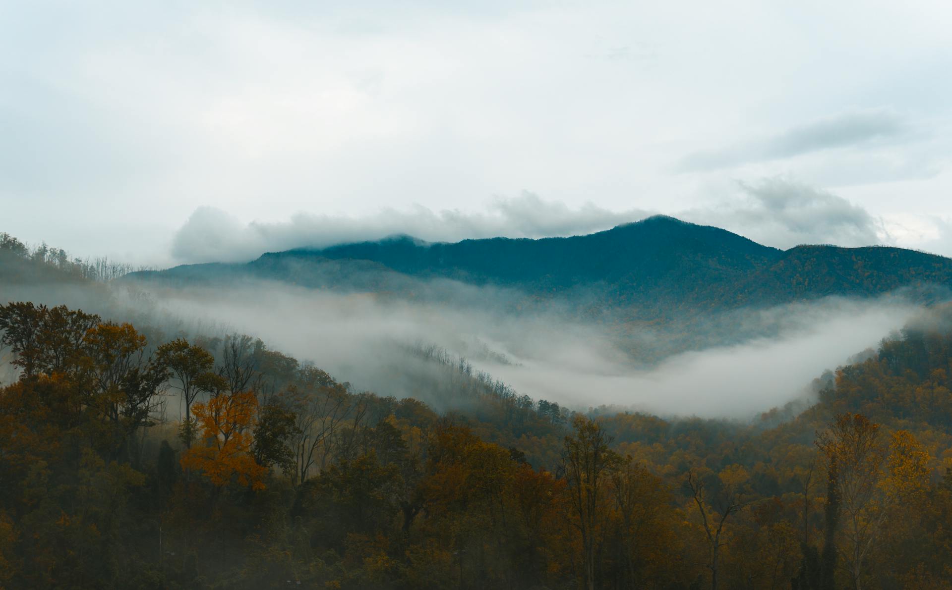 Smoky Mountains autumn mist Gatlinburg