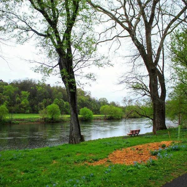 Spring landscape Front Royal Virginia