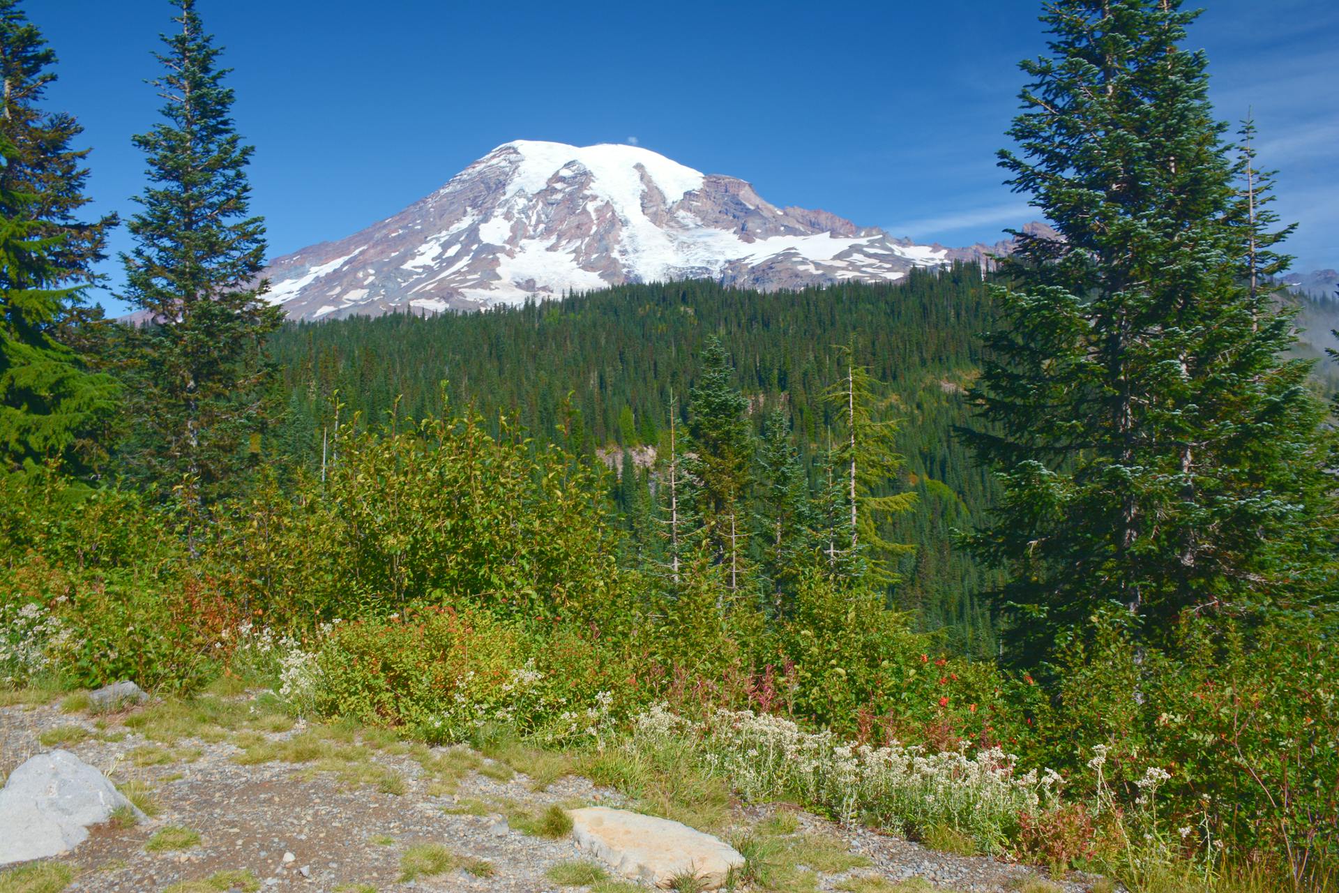 Mount Rainier Washington summer